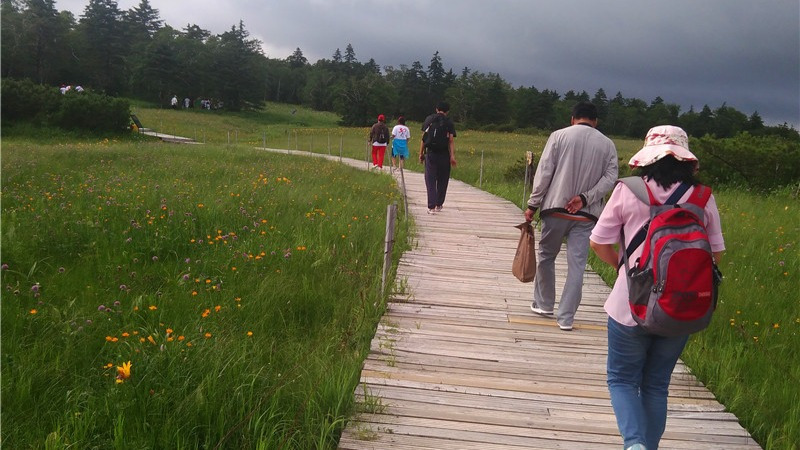 怎么对付熊孩子?养儿要学曾国藩