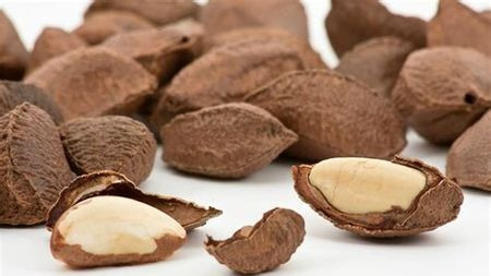 吃巴西坚果对头发有哪些好处