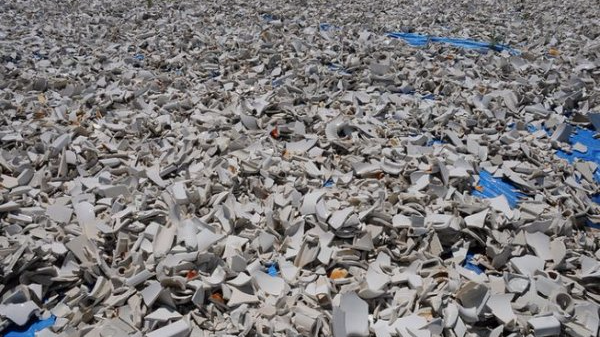 为拯救牡蛎,纽约市敲碎了5000个马桶