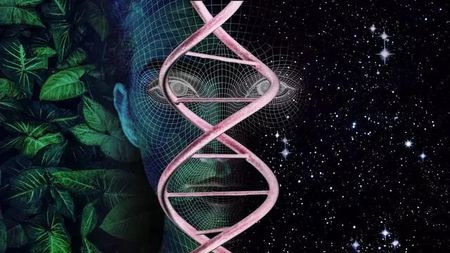 热力学如何解释进化论:最大化熵产生原理驱动的自然选择?