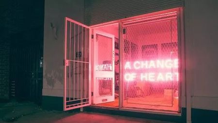 那些追求真爱的人,后来怎么样了?