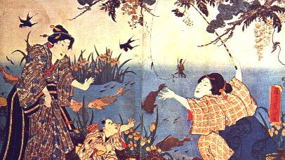 超级火的“锦鲤”,啥来头?