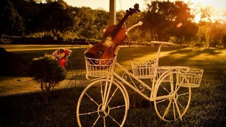 什么是精英生产的名校寡头垄断?