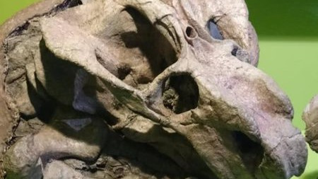 人类确实拥有过第三只眼,现在还存在?