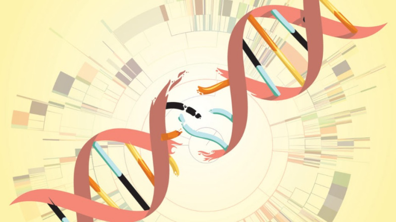 为什么生物普遍进化的选择是衰老,而不是选择永生呢?