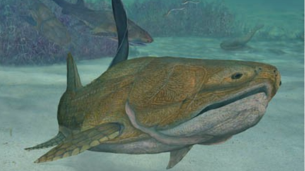 古鱼新发现!长吻麒麟鱼揭秘人类颌骨来源之谜