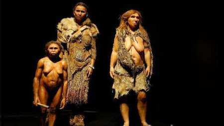 人类进化史中都有哪些同类存在过?