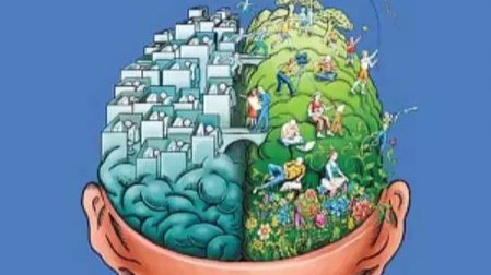 头越大越聪明?别给自己的智商找借口了