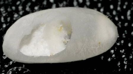 米放久了会有虫子,那么问题来了,那些虫子都是哪里来的呢?