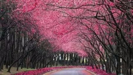 这些高校不是“双一流”,但依然牛哄哄!