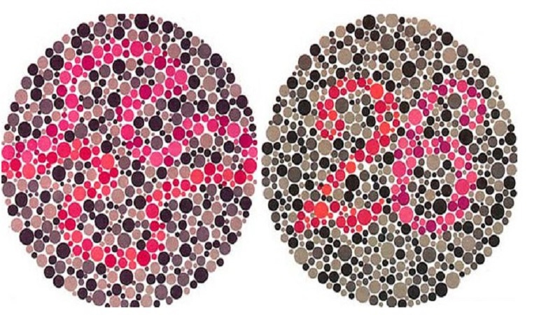 有的人为什么会分不清红色和绿色?