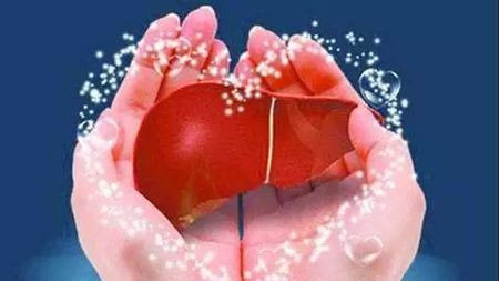 人的血管到底有多脏?看完才知道!保养方法都在这了