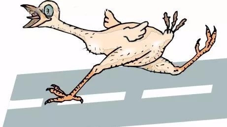 你可曾知道,没有这些植物,我们都要裸奔!