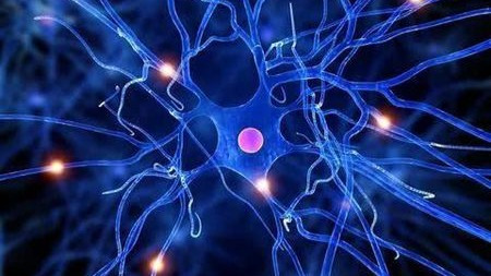 你会犯困吗?标记蛋白将揭开犯困原因?