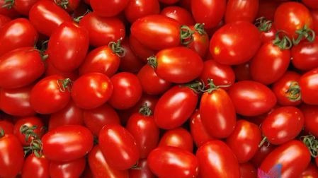 迷你蔬菜价钱贵,是不是营养会特别好?