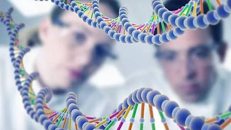 我们为什么需要转基因技术?