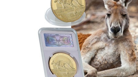 英国素食者上街抗议用猪油的新钞票?你们没见过奇葩的钱吧