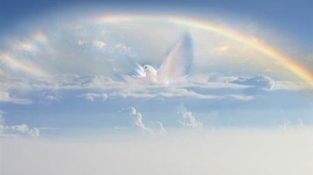 为什么是“美国更宗教,欧洲更世俗”?