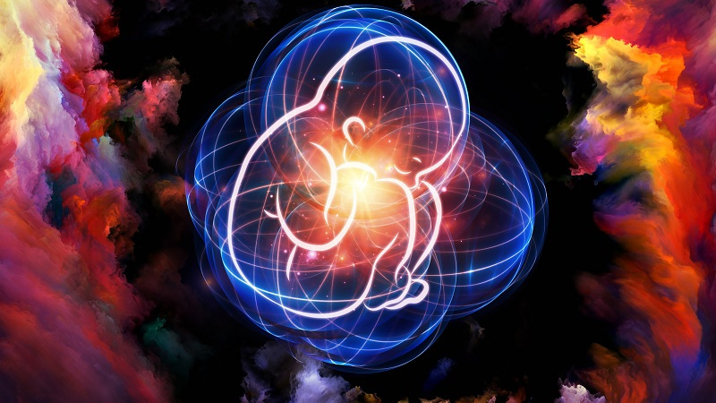 胎盘能吃吗?被神化的“紫河车”