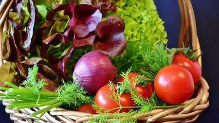 素食真的是更好的选择吗?