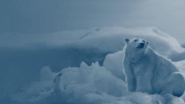 2050年的气候是什么样?