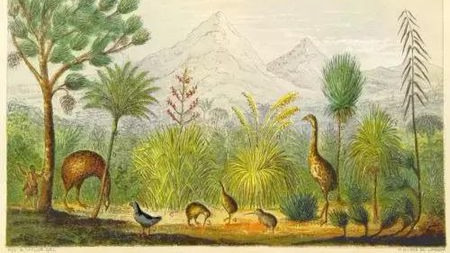 700年前灌木恐鸟完整基因组被重组,“侏罗纪公园”或非幻想