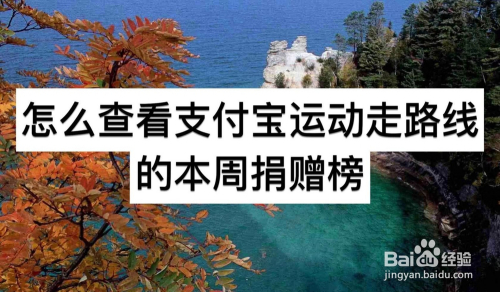 怎么查看支付宝运动走路线的本周捐赠榜