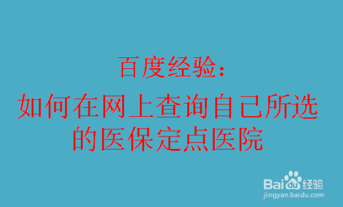 如何在网上查询自己所选的医保定点医院