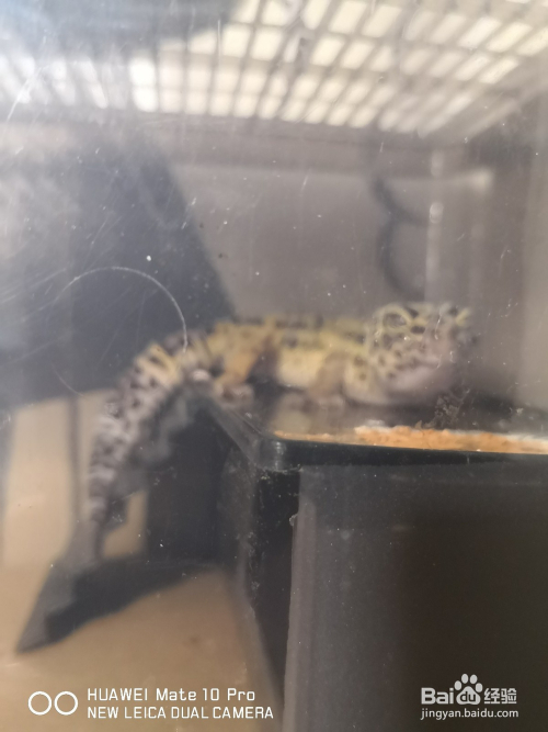 单反?数码?不不,手机在手天下我有(1)