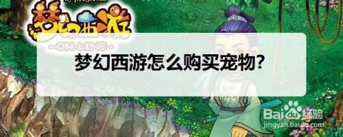 梦幻西游怎么购买宠物