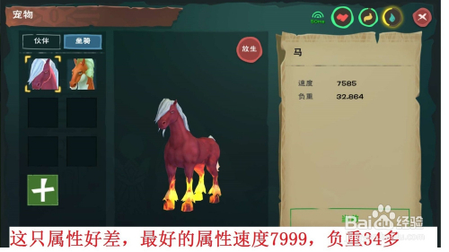 创造与魔法(2018年7月新版本)火马怎么抓