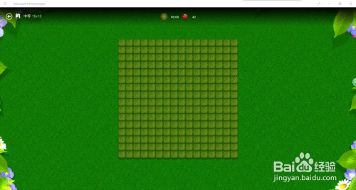 (Microsoft Minesweeper)中等难度方法