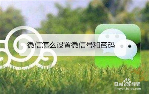 微信怎么设置微信号和密码