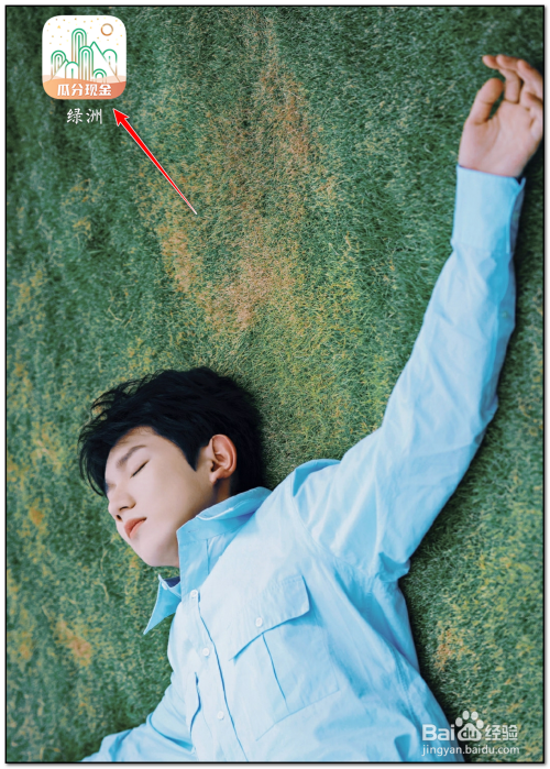 绿洲如何开启新增关注通知