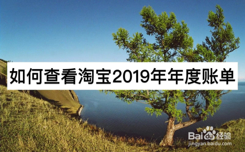 如何查看淘宝2019年年度账单