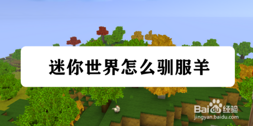 迷你世界怎么驯服羊