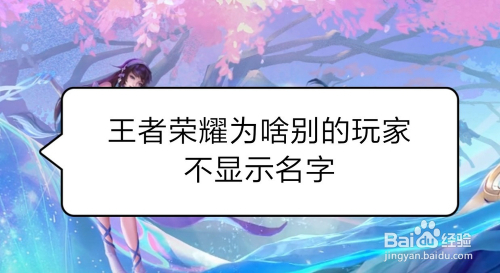 王者荣耀为啥别的玩家不显示名字