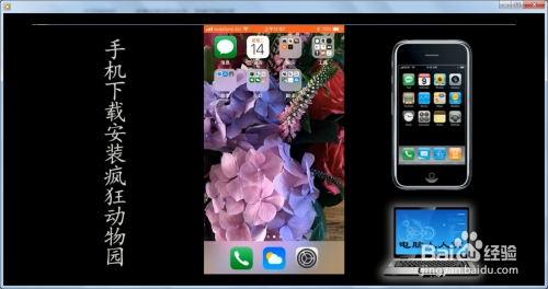 手机下载安装疯狂动物园