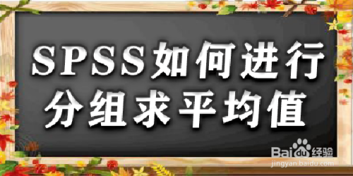 SPSS如何进行分组求平均值