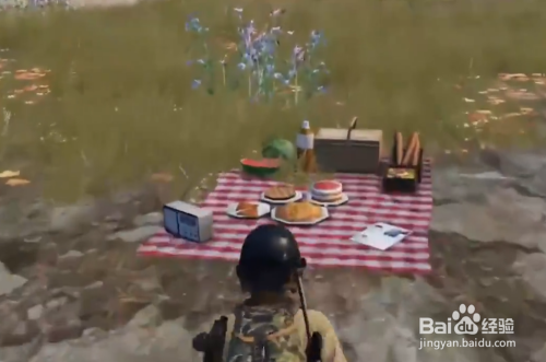 和平精英野餐位置在哪