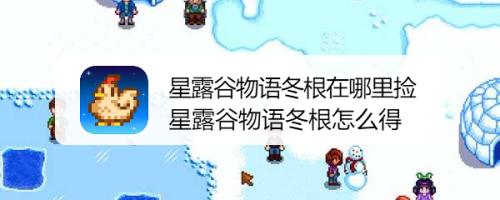 星露谷物语冬根在哪里捡 星露谷物语冬根怎么得