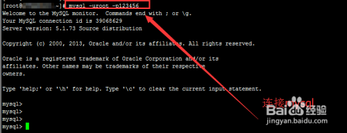 如何在MySQL中创建数据库