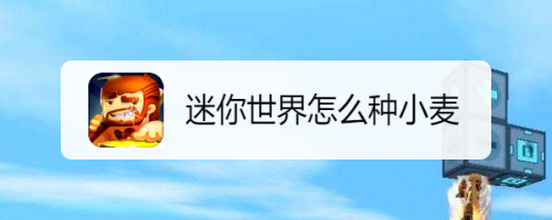 迷你世界怎么种小麦