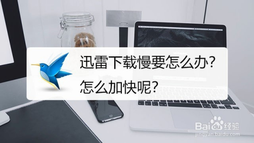 迅雷下载慢要怎么办?怎么加快呢