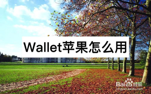 wallet苹果怎么用