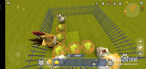 迷你世界鸡怎么变异成为战斗鸡