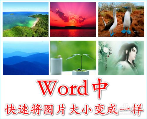 如何快速地把Word中的图片变成大小一样