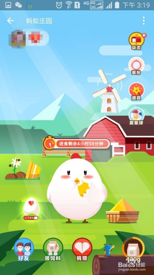 蚂蚁庄园免费领取饲料