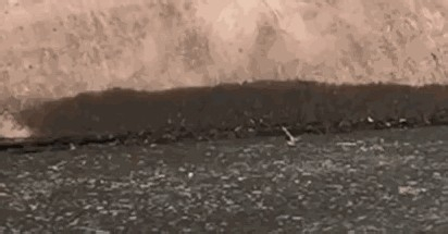 手机屏幕摔碎了怎么办?教你如何自己修复!