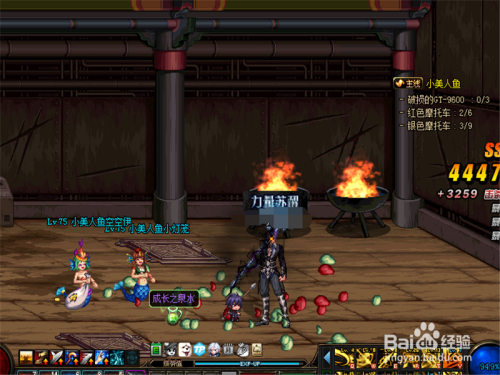 DNF绿树精灵的硬币怎样获取 给绿树精灵浇水